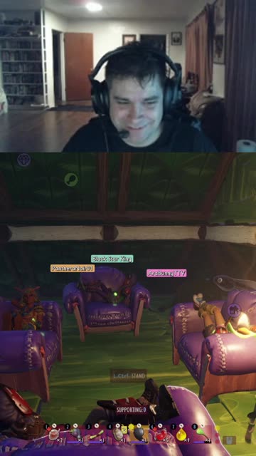 Ara, Dog, Submission