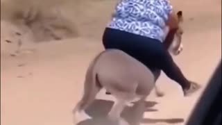 This video will make your day