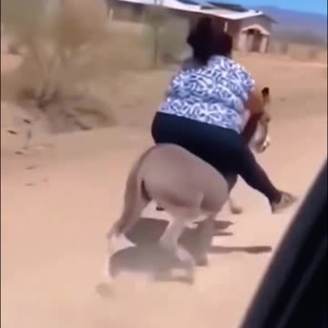 This video will make your day