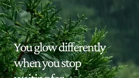 The moment you stop seeking approval… your entire energy changes 💫