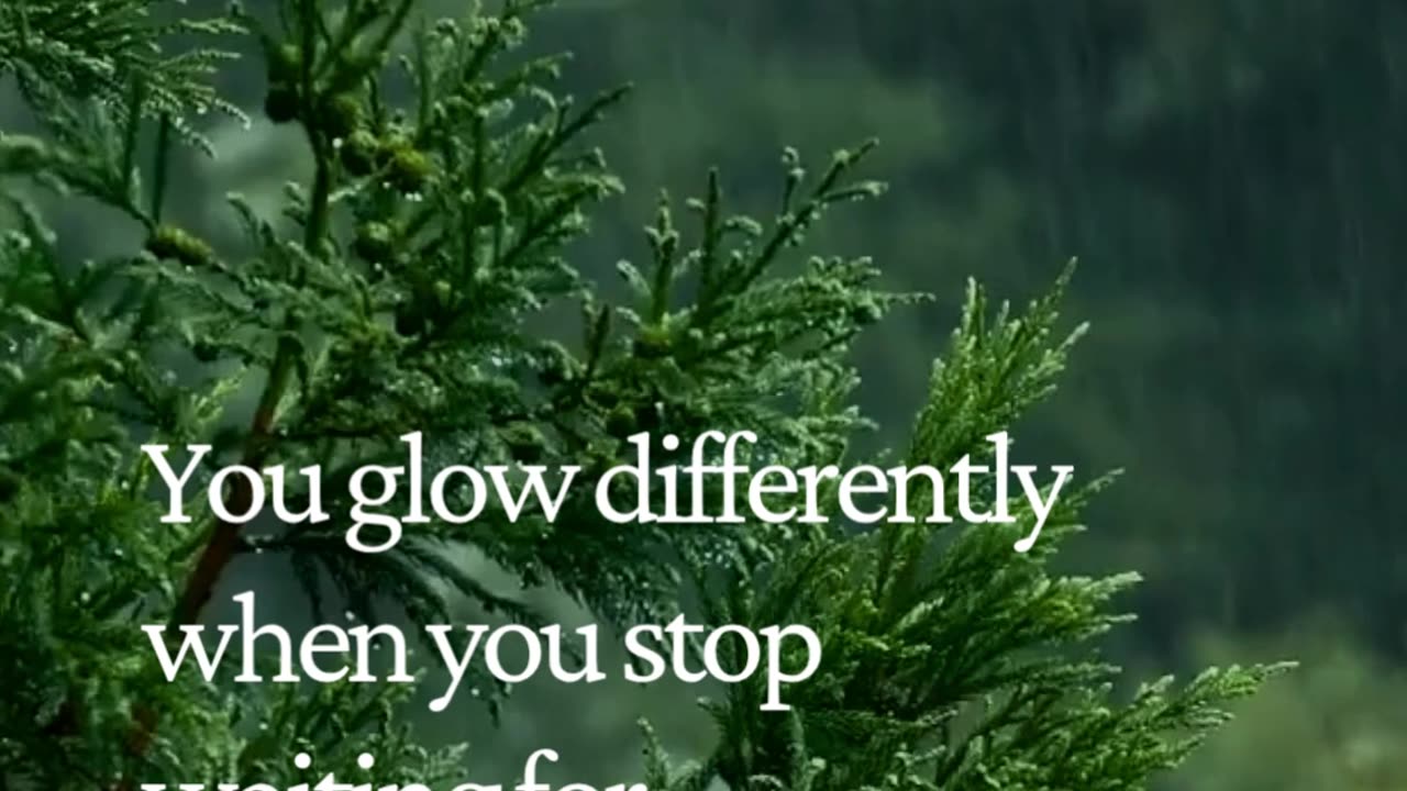 The moment you stop seeking approval… your entire energy changes 💫