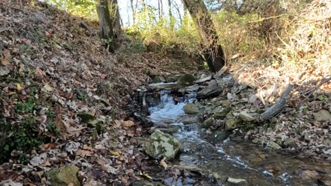 Happy Friday before THANKSGIVING!