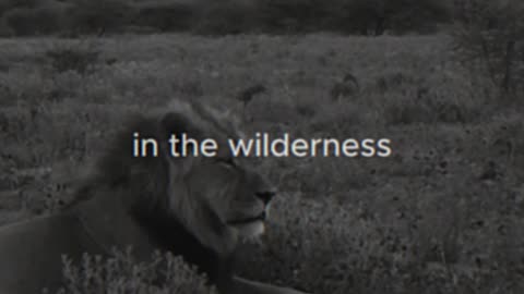 God's toughest battles are for his strongest soldiers #faith #godsplan