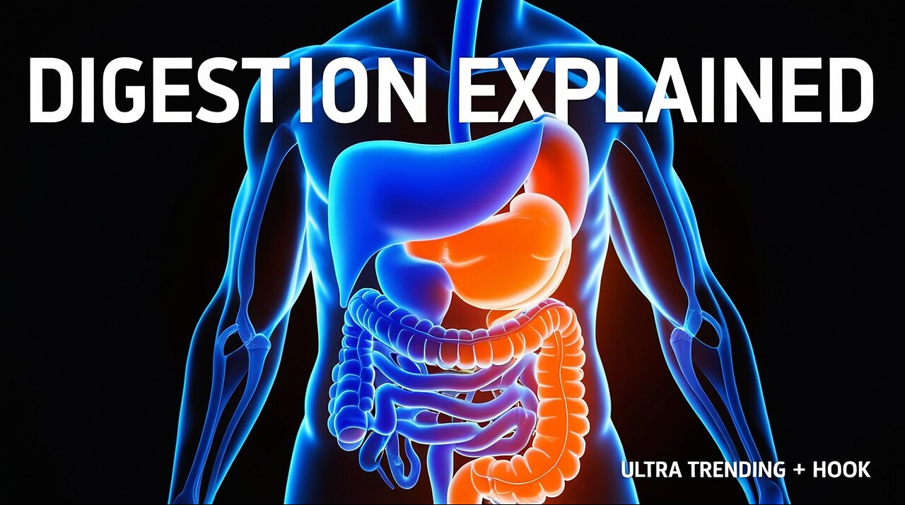 Digestive System Animation 🧠 | How Your Body Breaks Down Food Step-by-Step #Anatomy