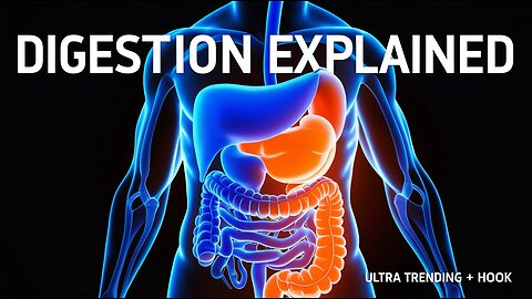 Digestive System Animation 🧠 | How Your Body Breaks Down Food Step-by-Step #Anatomy