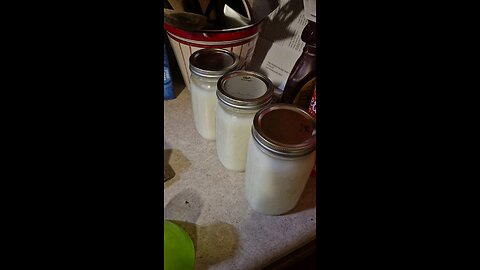 tallow part 13