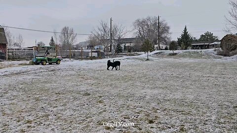 Graham Family Farm: 10:45 AM February 9th 2025