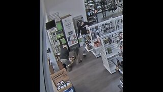 Woman attempts to steal a gun, instantly regrets it. Instant Karma, caught on camera