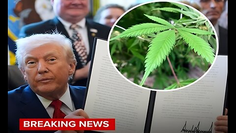 PILNE: Prezydent Trump przeklasyfikował marihuanę do Wykazu III –...