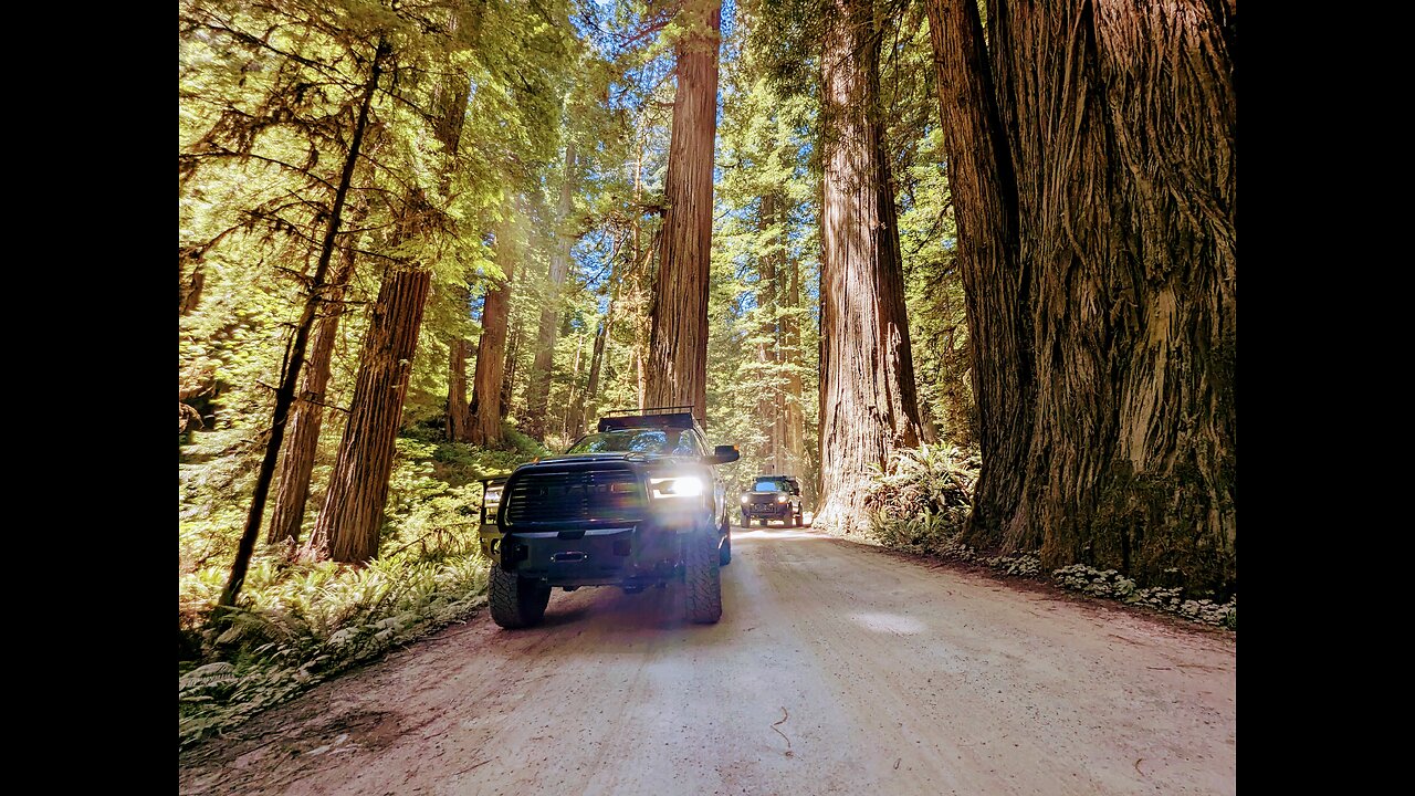 Lost Among Giants: Exploring the Redwood Coast Adventure Trail