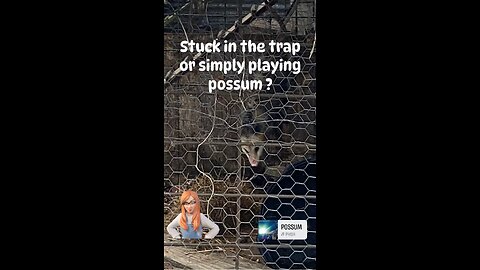 Trapped or playing possum?