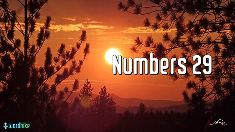 Numbers 29, Bible Reading in Nature, BSB