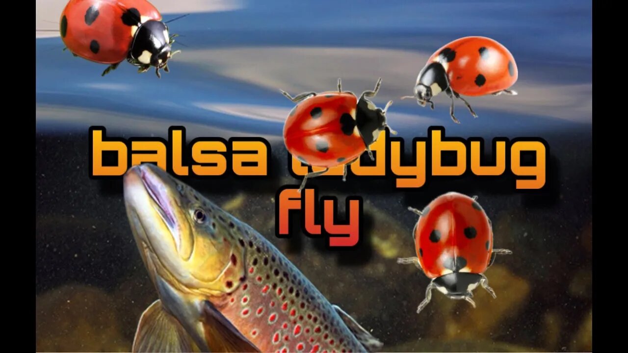 Balsa ladybug fly