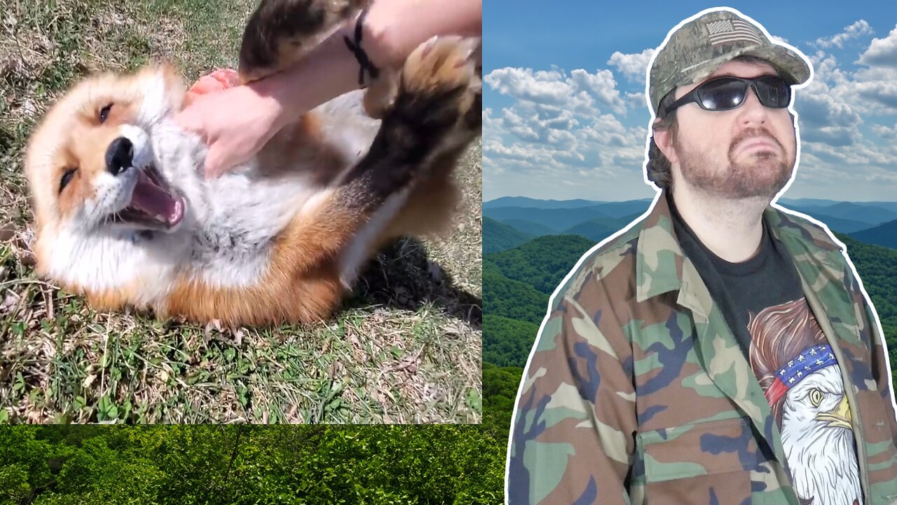 Coming Home To Finnegan Fox, Muttias And Dixie After Being Gone For A Week! (SaveAFox) - Reaction! (BBT)