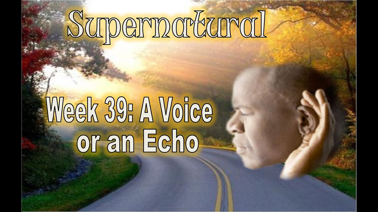 A Voice or an Echo - #jesus #motivation #biblestudy