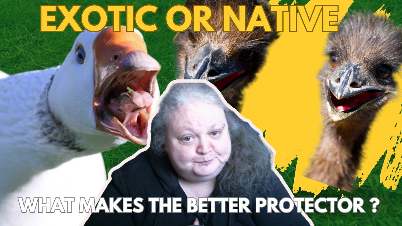 What's With All The Exotic Animals ?
