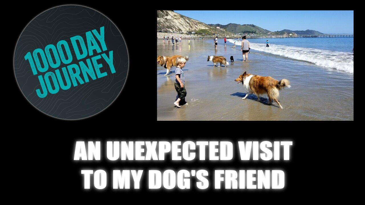 1000 Day Journey 0832 An Unexpected Visit to My Dog's Friend