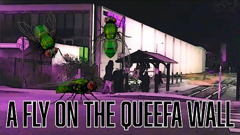 Fly on the Queefa Wall: The Forbidden Stream Talk They Didn't Want You to Hear