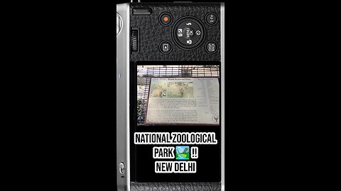 🦌 Brow-Antlered Deer — “Dancing Deer” #BrowAntleredDeer #WildlifeIndia