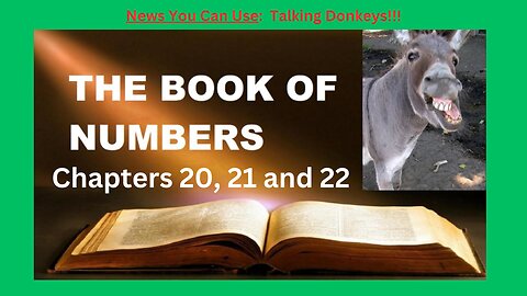 Numbers 20 21 and 22 : Talking Donkeys!