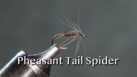 Pheasant Tail Spider: a North Country fly pattern