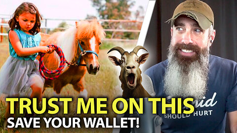 Five Worthless Homestead Animals Wasting Your Time