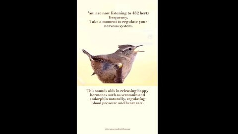 "You are listening to 432 hertz frequency"...that "aids in releasing happy hormones"