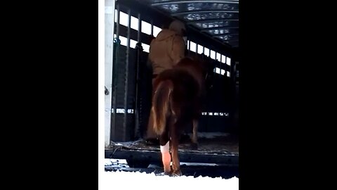 Sriracha - trailer practice 31 Jan 2026