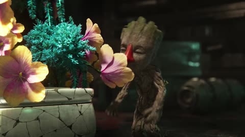 Groot seasons 1