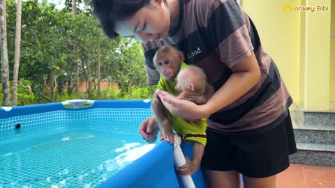 Super funny! Bibi discovered that the baby monkey pooped so he asked Mom to take a bath!