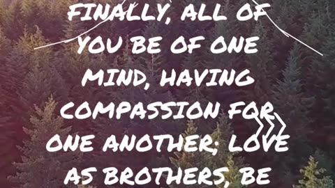 1 Peter 3:8 | Living With Compassion in a Divided World