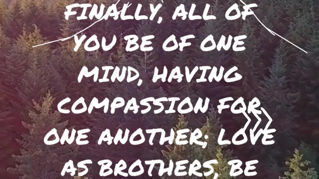 1 Peter 3:8 | Living With Compassion in a Divided World