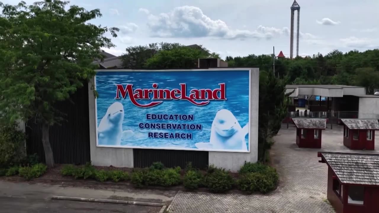 Canada theme park: if we don't get aid, we may have to kill our whales