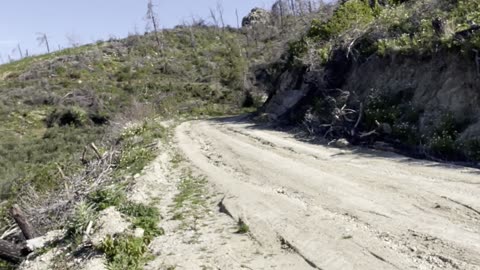 North Euboea after fires