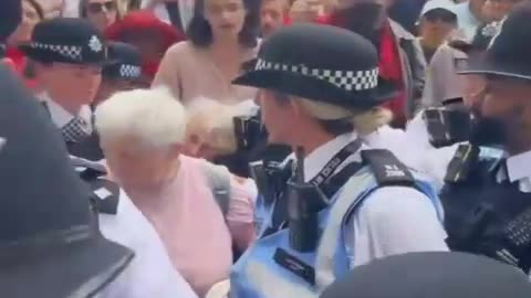 "british" police arrest a lady in her 90s for being a part of anti illegal immigrants protest