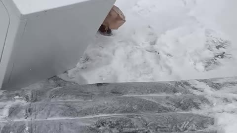 Appliance Transport via Mattress Sled