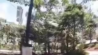 Democrats no longer think they have to obey police officers. This won’t end well.