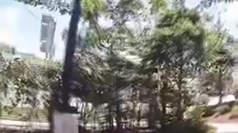 Democrats no longer think they have to obey police officers. This won’t end well.