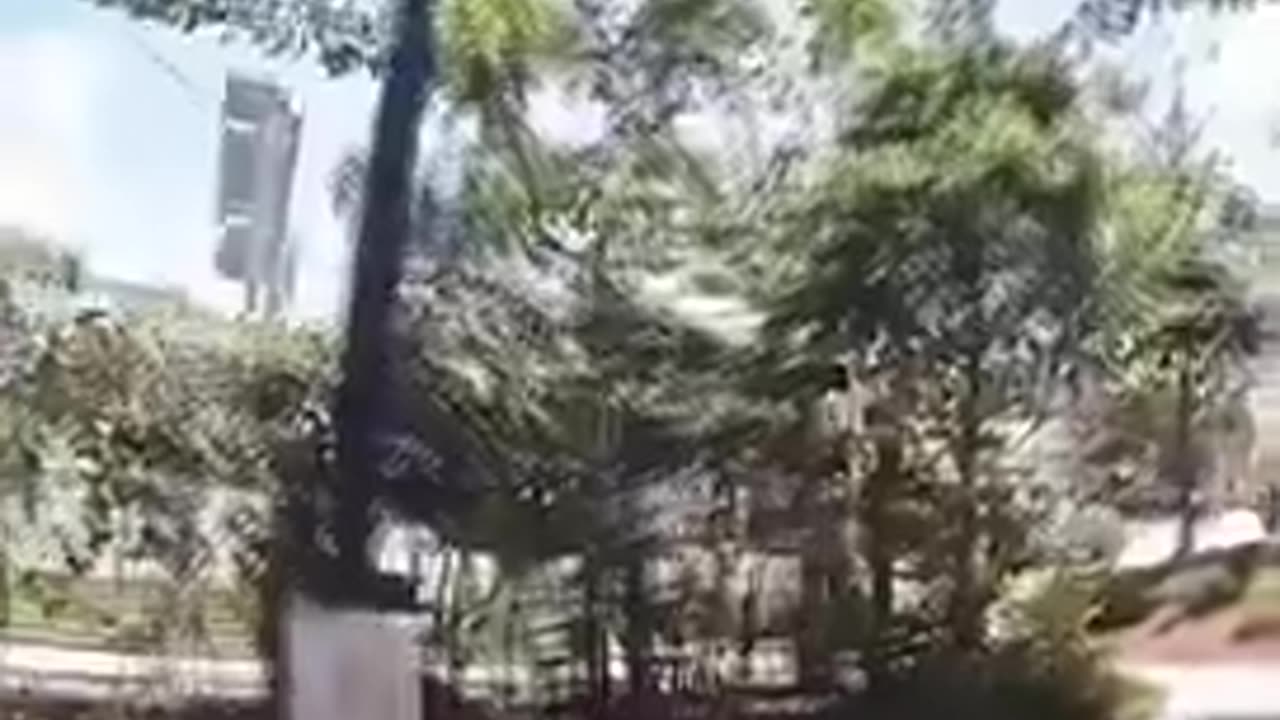 Democrats no longer think they have to obey police officers. This won’t end well.