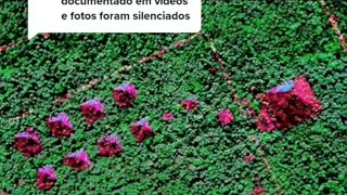 🔭😱 Uncovering the Mysteries of the Amazon Pyramids! | TheTruthAbove