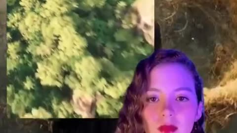 The world is full of petrified creatures 🧐you just have to look with an open mind