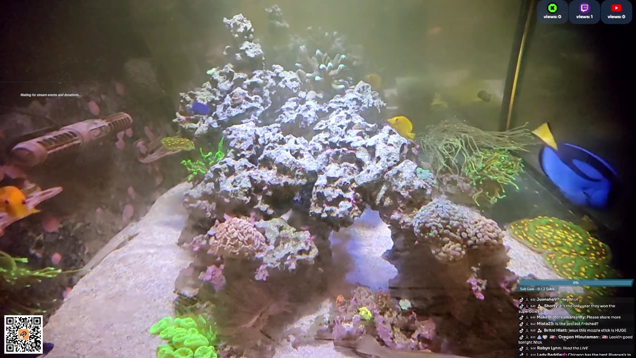 24/7 Real Live Reef Stream