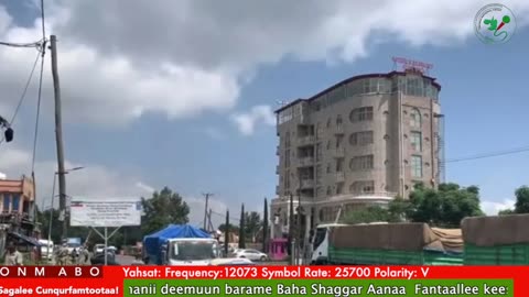 Oduu Waaree ONM-ABO Sadaasa 12-2025 itti dhiyaadhaa!