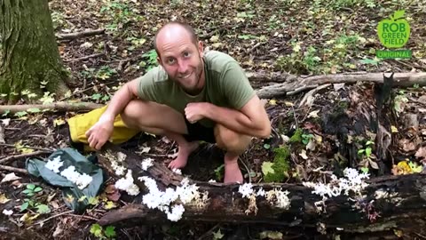 I Grew and Foraged 100% of My Food for an Entire Year!