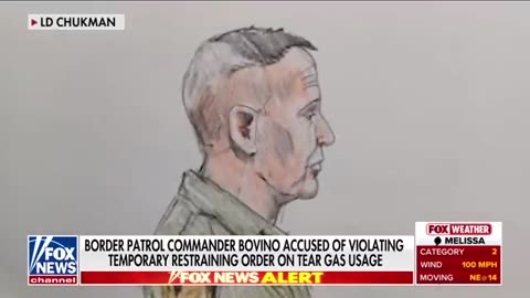 SEE IT_ Border Patrol commander targeted as protesters ERUPT outside court