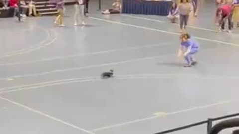 Senior dog(14) finishes last but gets the biggest cheer