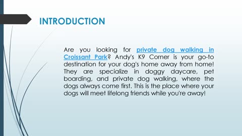 Are you looking for private dog walking in Croissant Park?