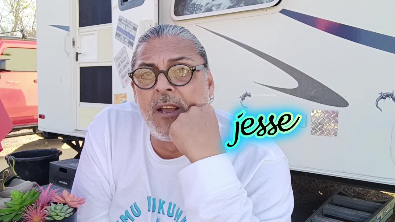 Narcissist Chronicles