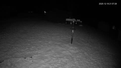 Bird Feeder in Western Maryland USA