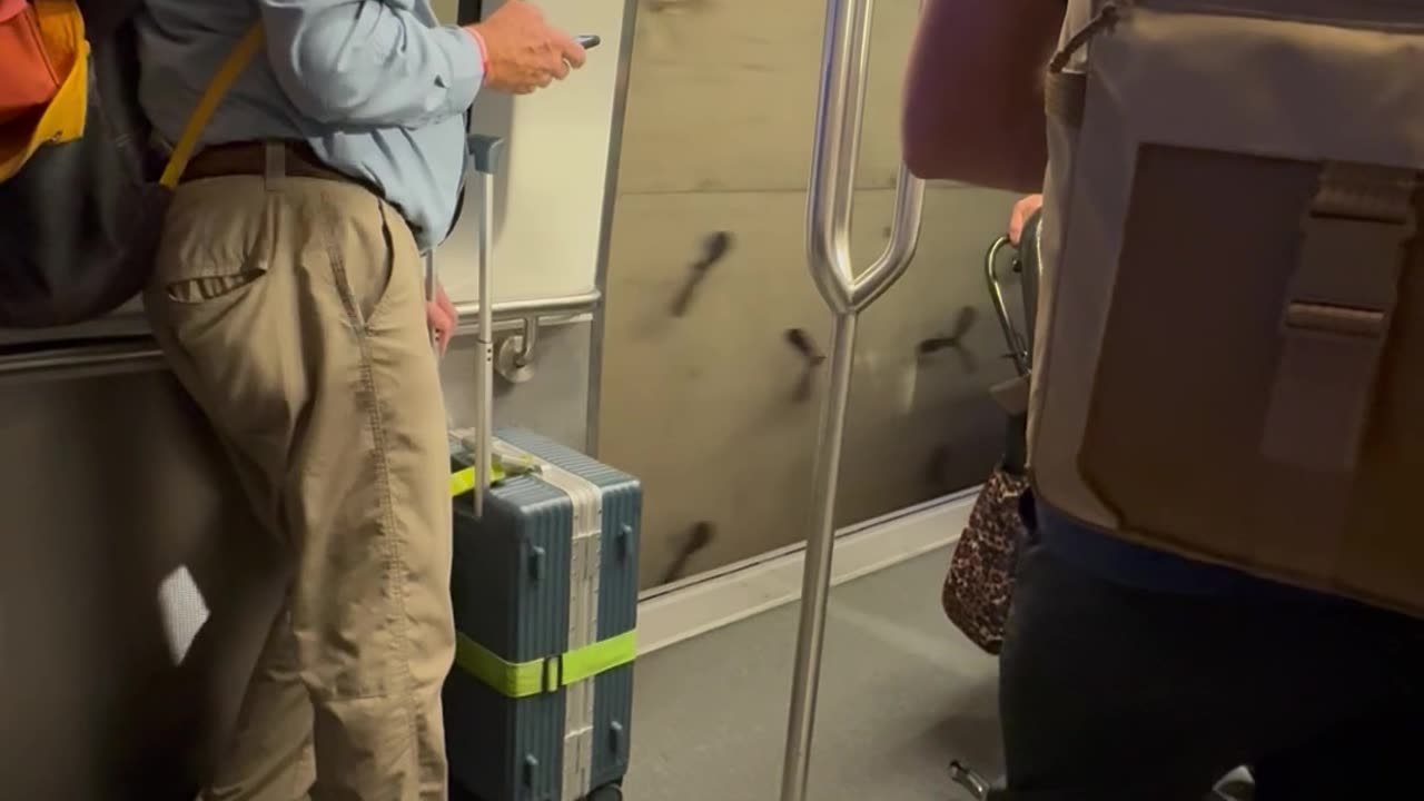 Malfunctioning Train Runs With Open Doors